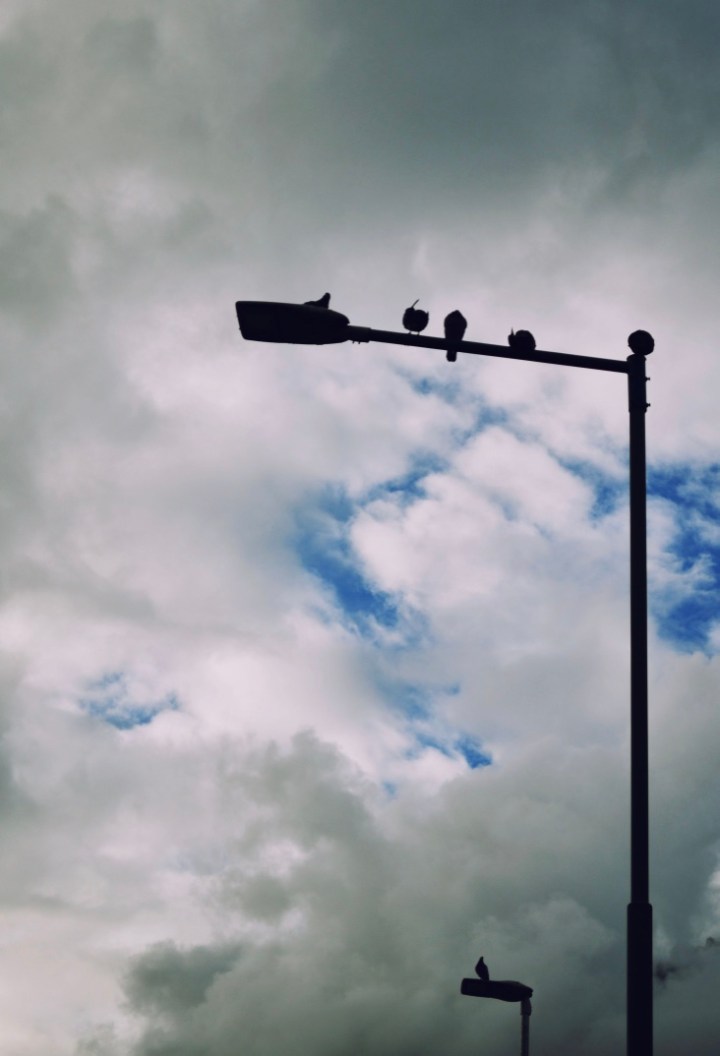 thumb_DSC_0138 copy_1024