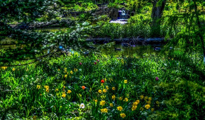 DB967116-E0B2-4228-A3BE-1CB0697C9491