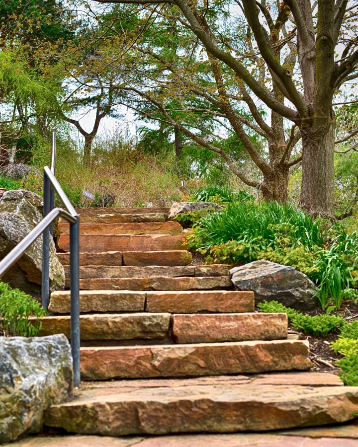 FD1F3678-5CCB-4875-A2AF-C11CB92B165B