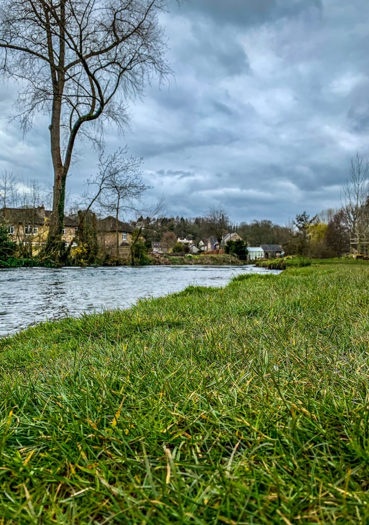 D2E1F7A0-9EA0-4B36-A759-A84DAE8A32E7