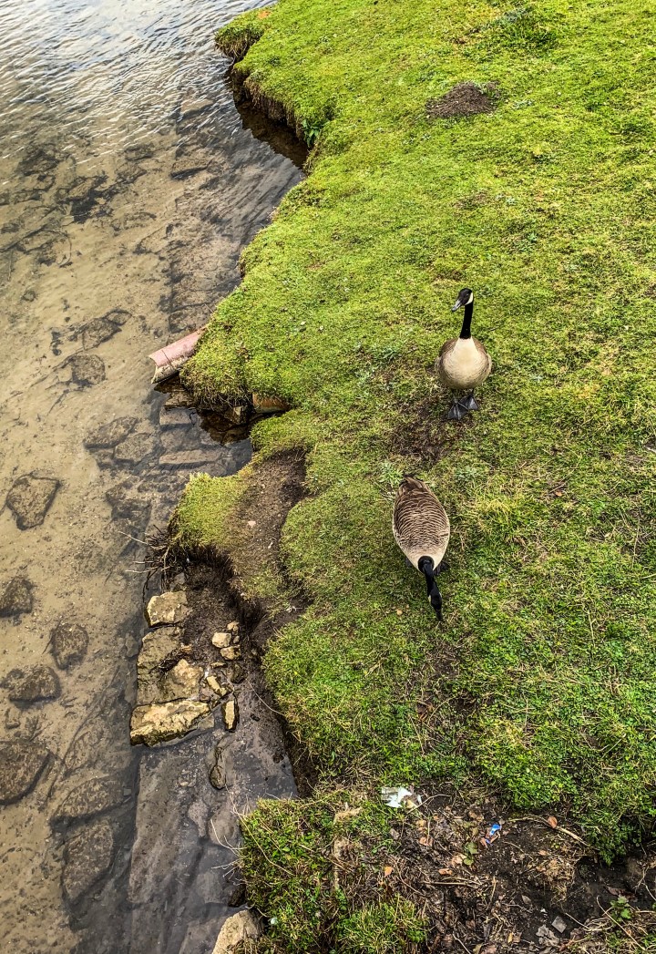 DD38703C-55DF-4515-9E8D-C08C0ED1D828