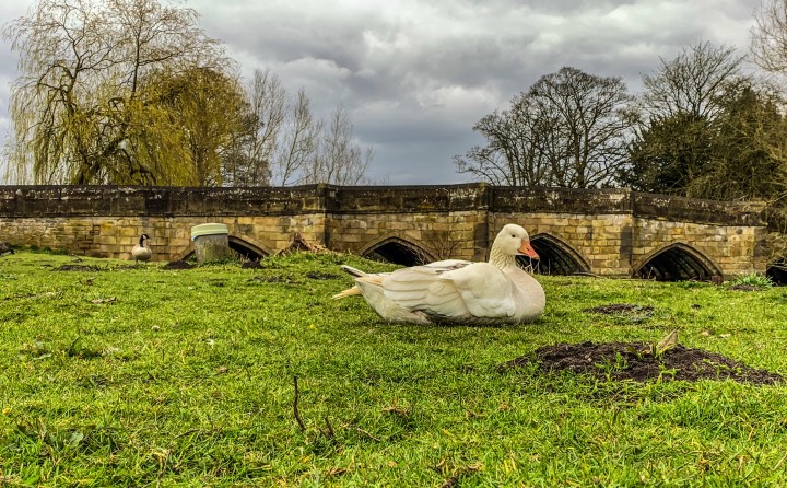 EF1B5EBA-5950-4939-B7CA-07B75D55B957